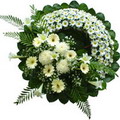 Ankara Ayaş Elvankent Çiçekçi firma ürünümüz cenazeye çiçek çelenk modeli Ankara çiçek gönder firması şahane ürünümüz