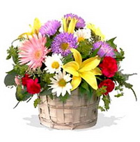 Ankara Ayaş çiçek siparişi sitemizin görsel ürünü kır çiçeklerinden mevsim sepeti Ankara çiçek gönder firması şahane ürünümüz