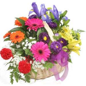 Ankara Ayaş çiçek siparişi sitemizin görsel ürünü Karışık mevsim sepeti çiçeği Ankara çiçek gönder firması şahane ürünümüz