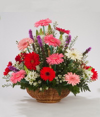 Ankara Ayaş Yenimahalle Çiçekçi firma ürünümüz Karışık Gerbera mevsim sepeti çiçeği Ankara çiçek gönder firması şahane ürünümüz