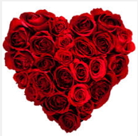 Ankara Ayaş uluslararası çiçek gönderme 19 adet kırmızı gülden kalp tanzimi