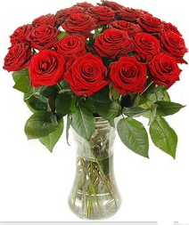 Ankara Ayaş çiçek mağazası , çiçekçi adresleri Vazoda 15 adet kırmızı gül tanzimi