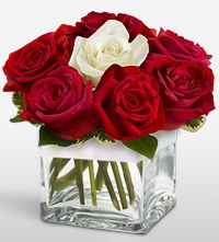 Tek aşkımsın çiçeği 8 kırmızı 1 beyaz gül Ankara uluslararası çiçek gönderme